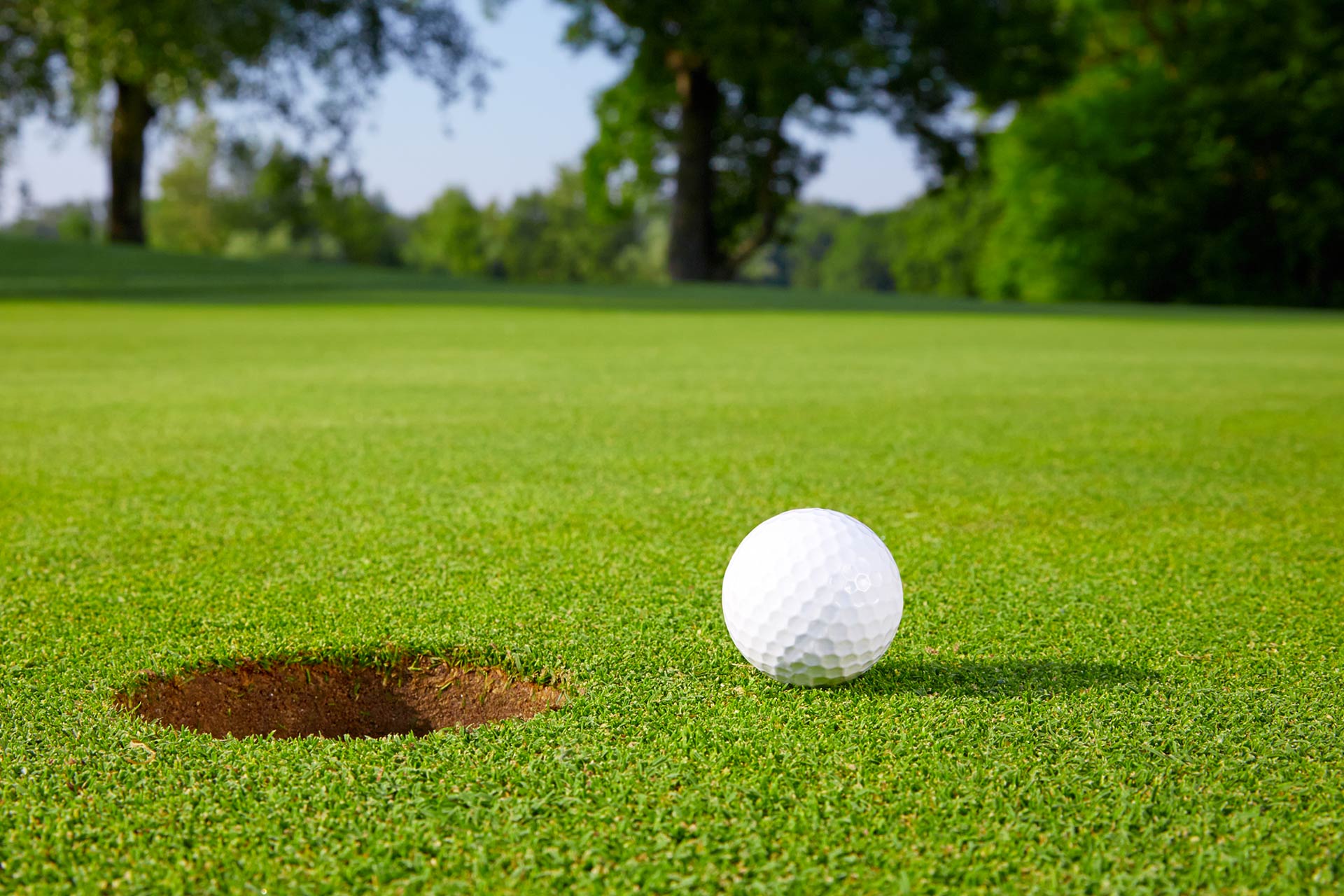 Toutes les actualités AS Golf de Valgarde